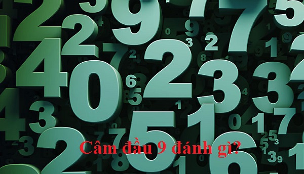 y-nghia-cac-con-so-1 Đầu 9 câm đánh đề con gì, số mấy?